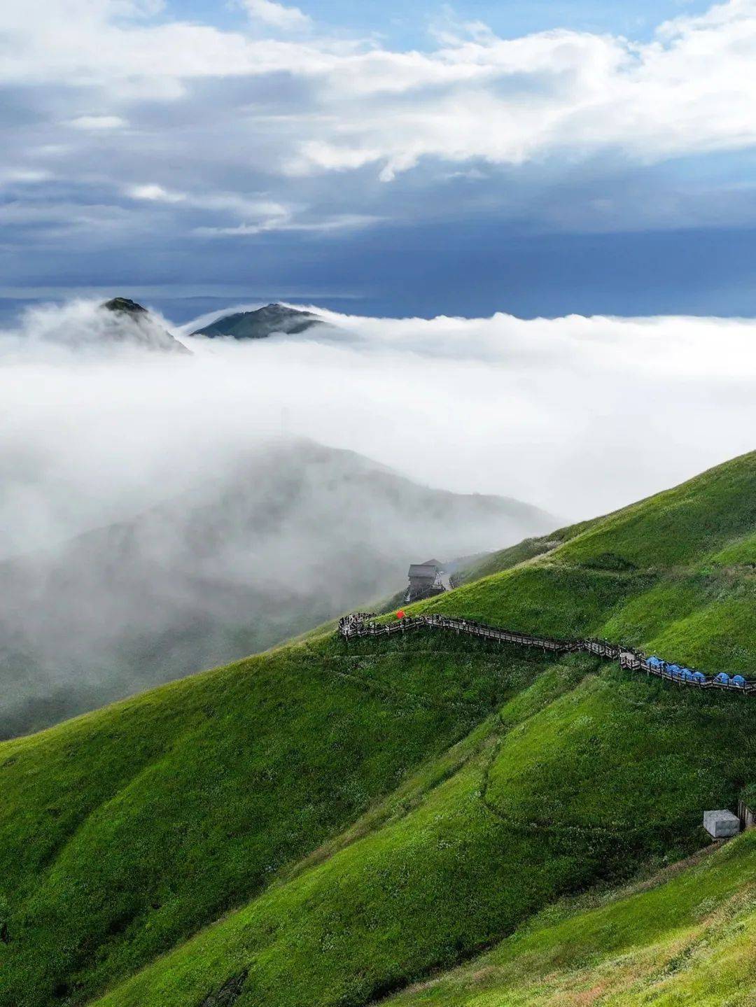 漫山绿野等你来撒欢