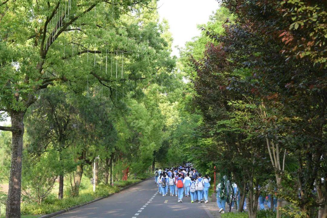黄山新教育学校七八年级开展本学期第2次状元远足活动