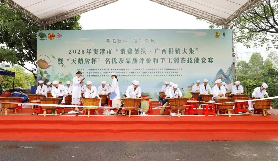 【建功立业工程】“茶艺匠心 茗品荷城”贵港市名优茶品质评价和手工制茶技能竞赛成功举办泛亚电竞下载(图3)
