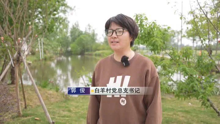快来看美嘉体育app 胥浦河白羊村大鲍冲心河(图10)