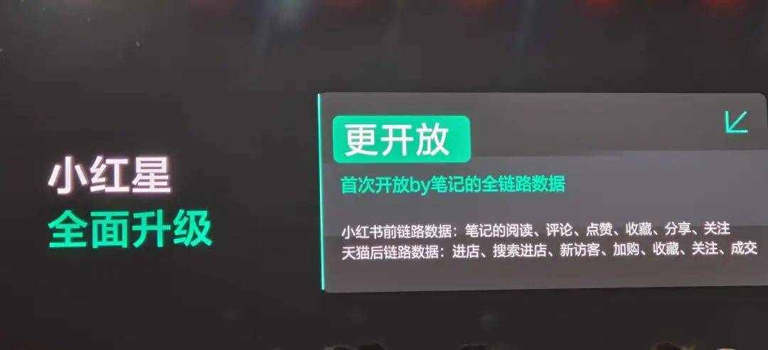 为“淘天”种草，小红书留下了什么？