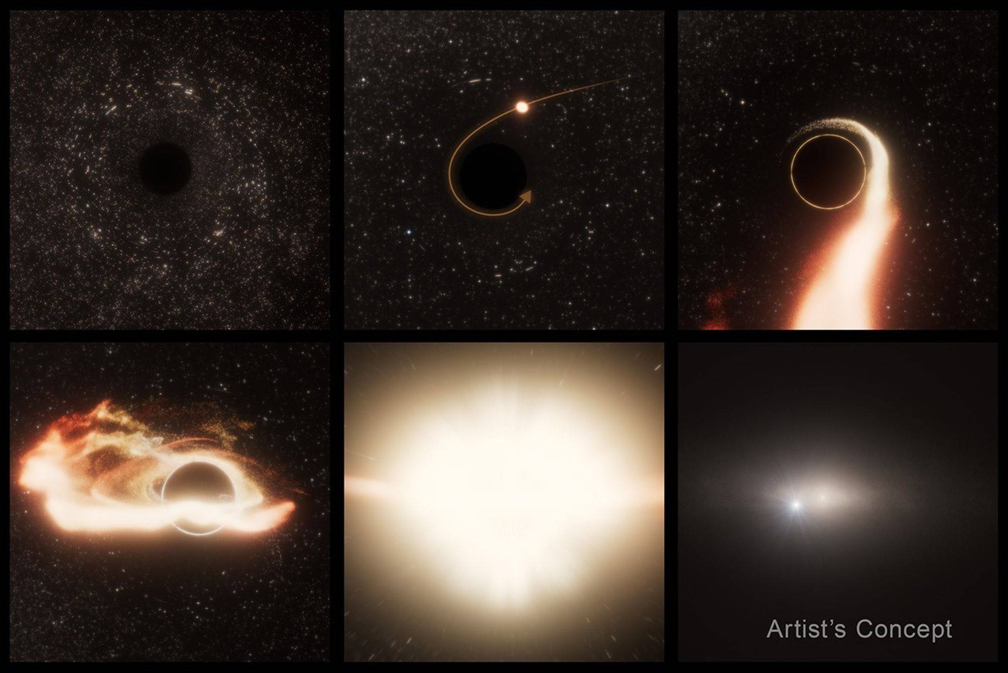 “太空鲨鱼”隐身黑洞被发现：距地球 6 亿光年，偏离星系中心，质量约为太阳的 100 万倍