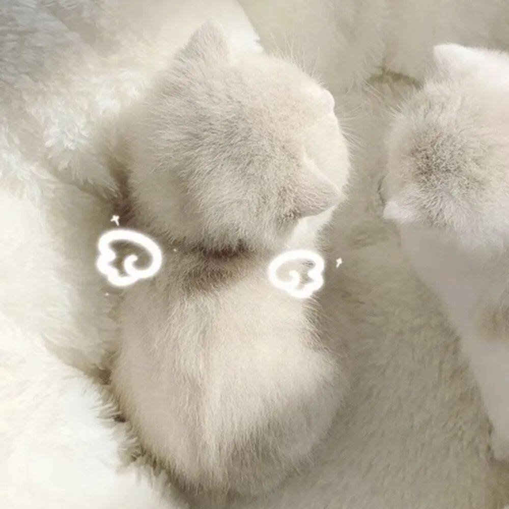 对象喜欢的情侣头像