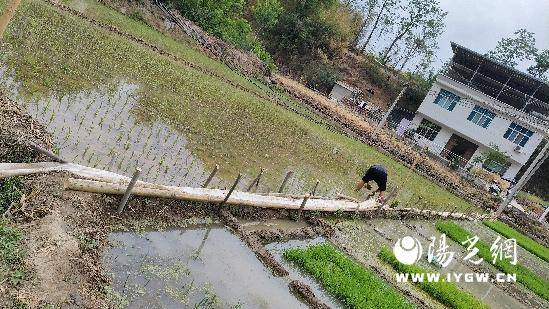 旬kaiyun开云入口阳“解渴”有方 全力抗旱保供水护民生(图3)