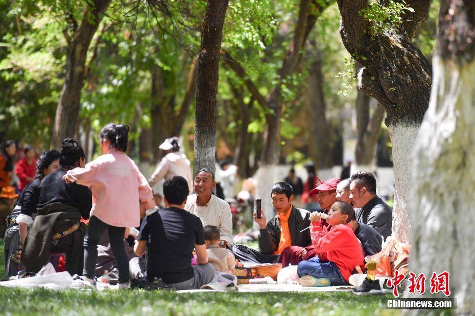 拉萨附近林卡_拉萨过林卡是什么意思_
