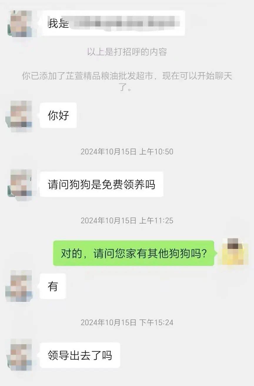 沈阳一店铺老板假借领养名义烹食流浪狗，警方回应