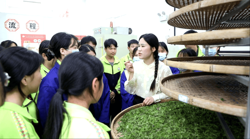 江华职业中专:非遗技艺进课堂匠心制茶悟传统_茶叶_环节_祖珩