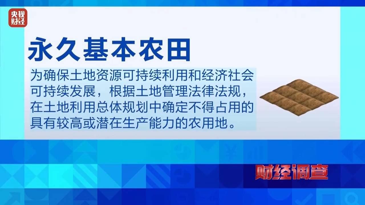 财经调查丨永久基本农田被垃圾掩埋！整改为何成“纸面工程”？