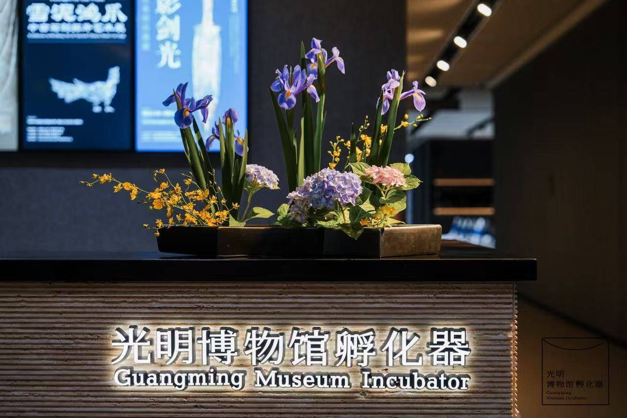 深圳博物馆事业进入高质量发展快速车道 “5·18国际博物馆日”深圳主会场见证光明博物馆孵化器启动插图