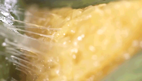 环球体育：巴西足协主席埃德纳尔多向联邦最高法院申请撤销罢免令