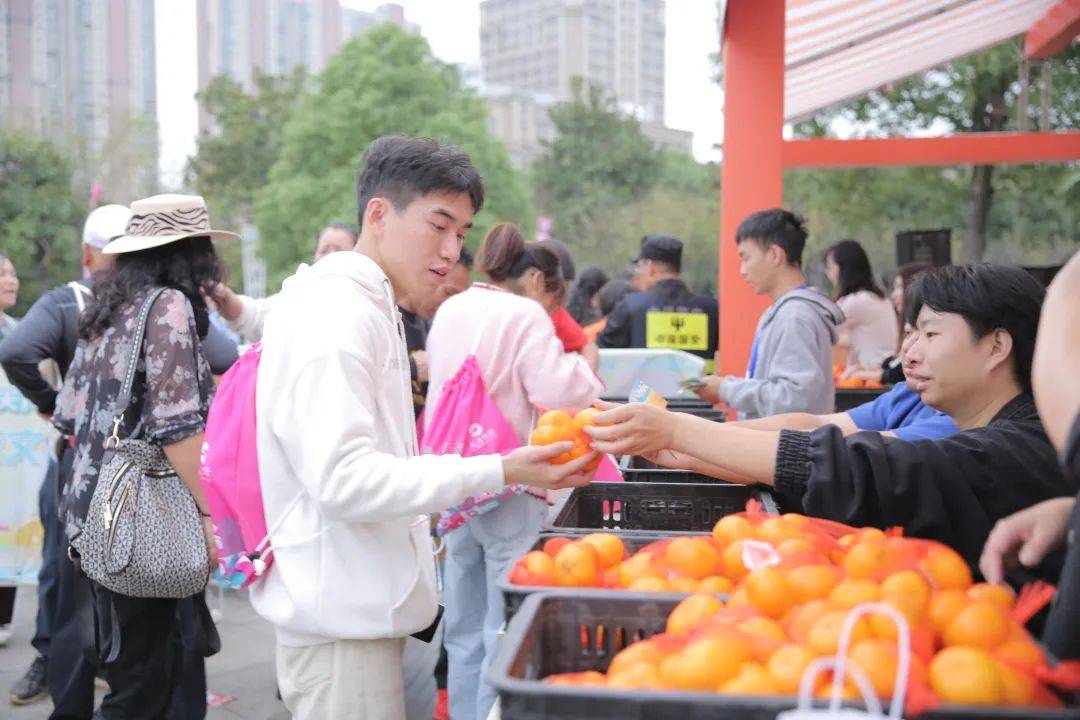 此前刚办完演唱会！官方：因草坪问题，深圳新鹏城vs三镇比赛延期