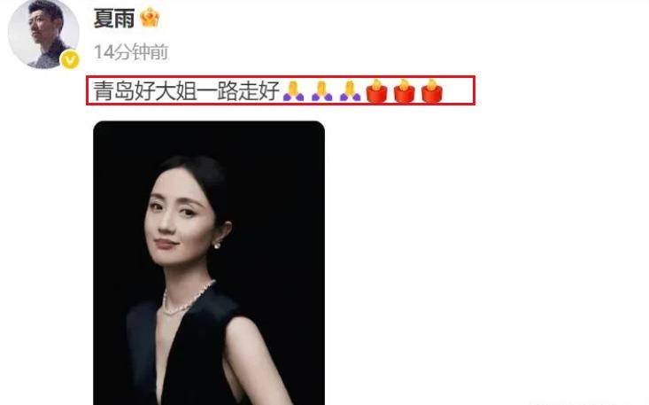 朱媛媛死因曝光！老公辛柏青悲痛发文，众星发文悼念都觉太意外！