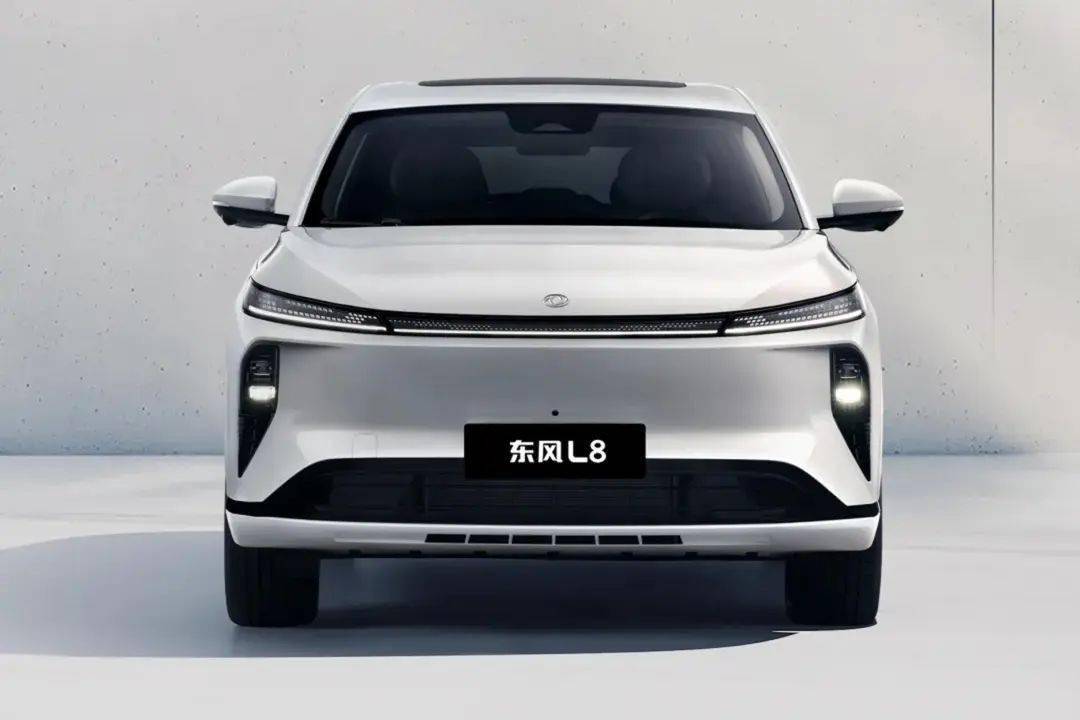 年中上市！东风L8官图来了