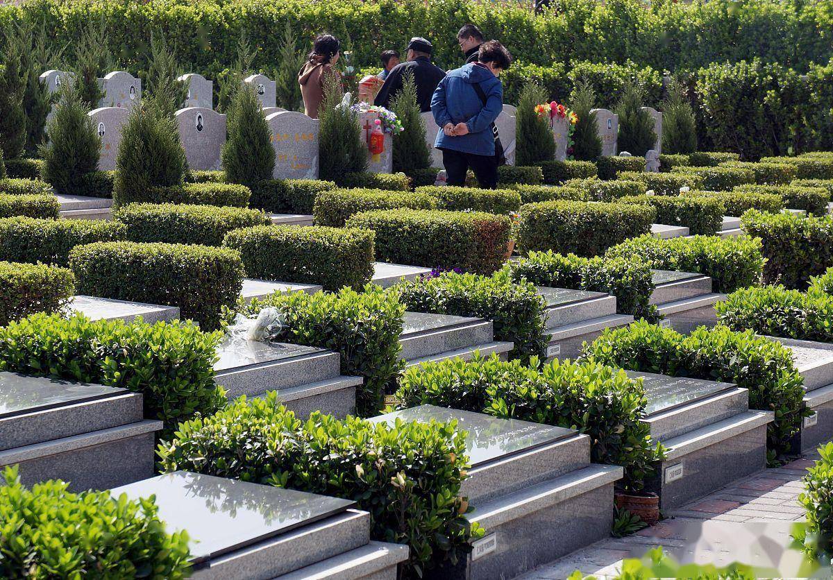 公墓必须要缴纳管理费吗?为何还要续交管理费呢?