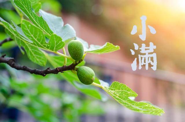 小熊：糖尿病维持健康和稳定血糖的5个技巧！