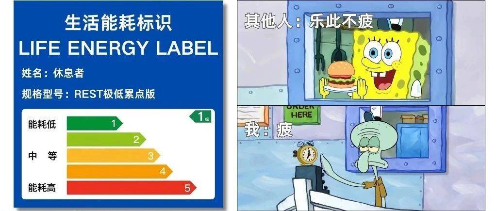 正式确认REST型人格,看到这个标题时我已经累了…_蒋星_大脑_精力