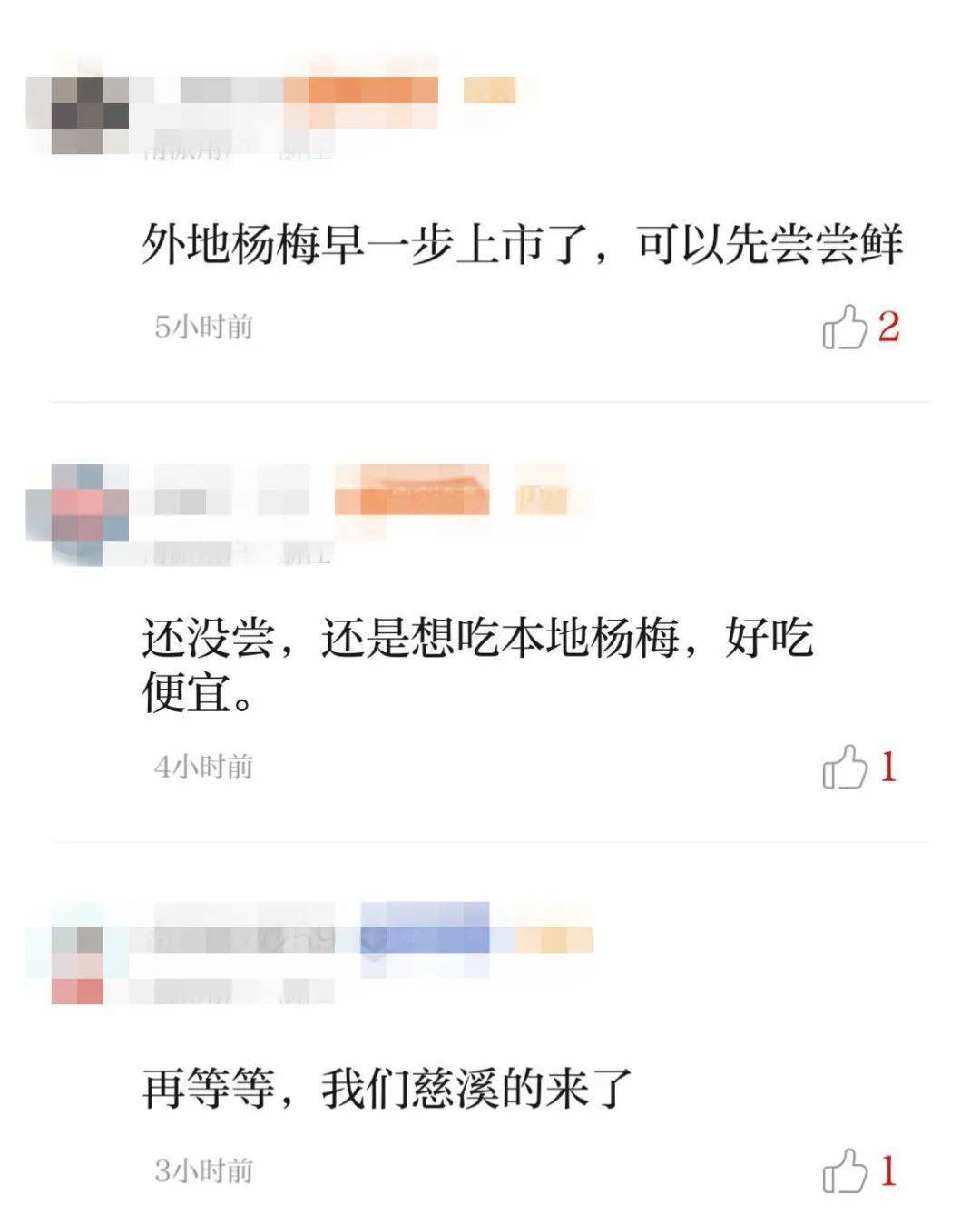 大跳水!杨梅价格暴跌70%!宁波人:还能再等等 大跳水!杨梅价格暴跌70%!宁波人:还能再等等
