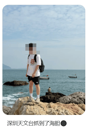 深圳一海滩惊现大量海鲜!有网友称怒捡一百多斤…… 深圳一海滩惊现大量海鲜!有网友称怒捡一百多斤……