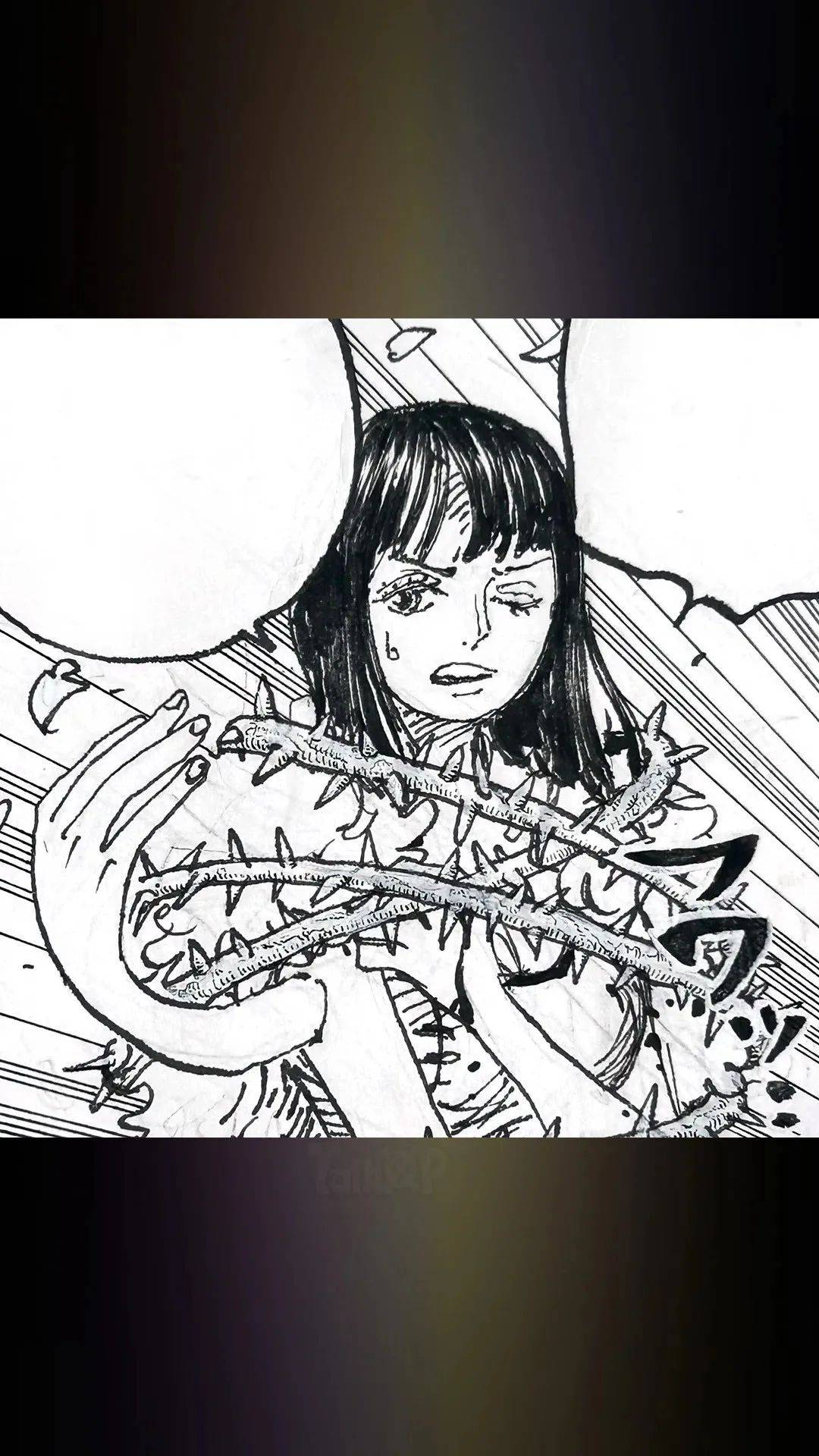 尾田荣一郎出品海贼王1149话原稿公布!