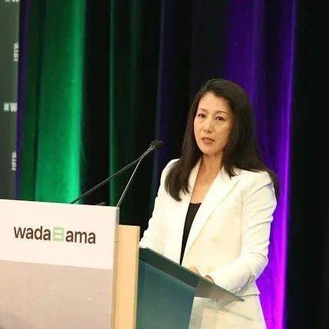 杨扬,成功连任_新华社_冬奥_审核