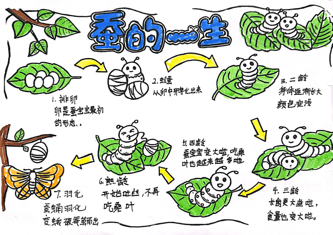 —经开一校四年级"探索生命奥秘"科学学科活动