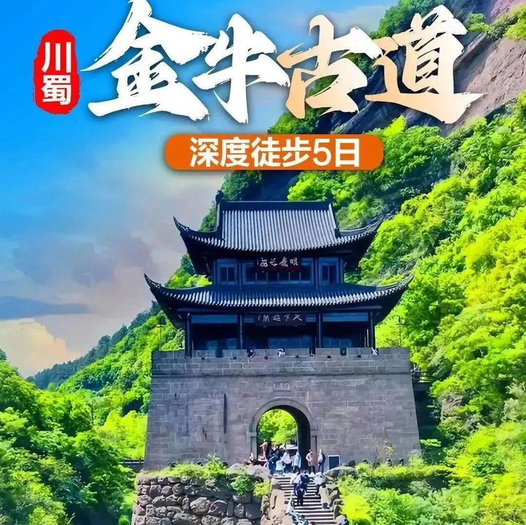 【四川|蜀道传奇】6/25-29 川蜀古道,金牛古道,5日深度旅徒,探行千年人文_广元_历史_古柏