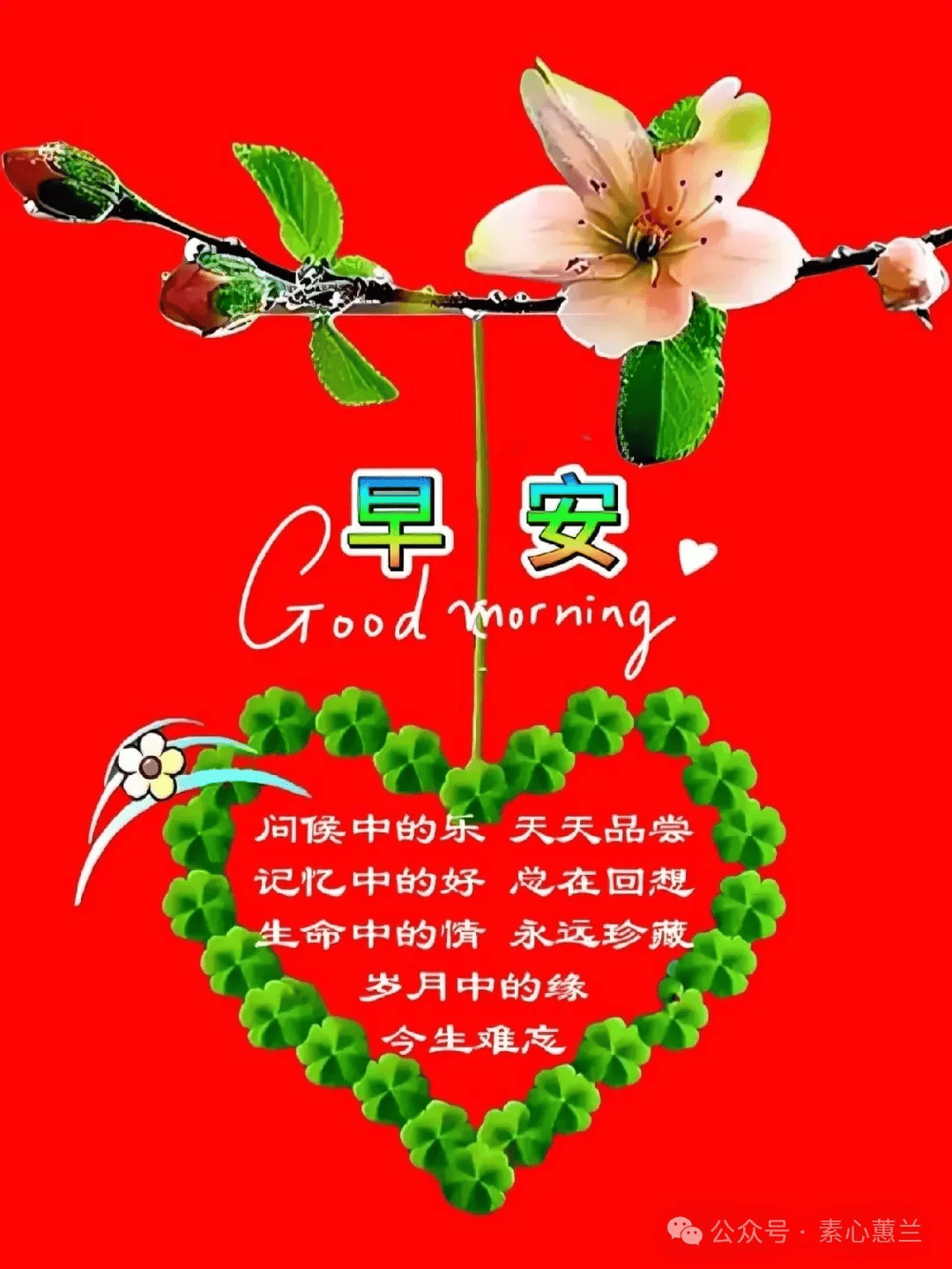 早安吉祥：清晨最美的祝福，送给最美好的你！_搜狐网