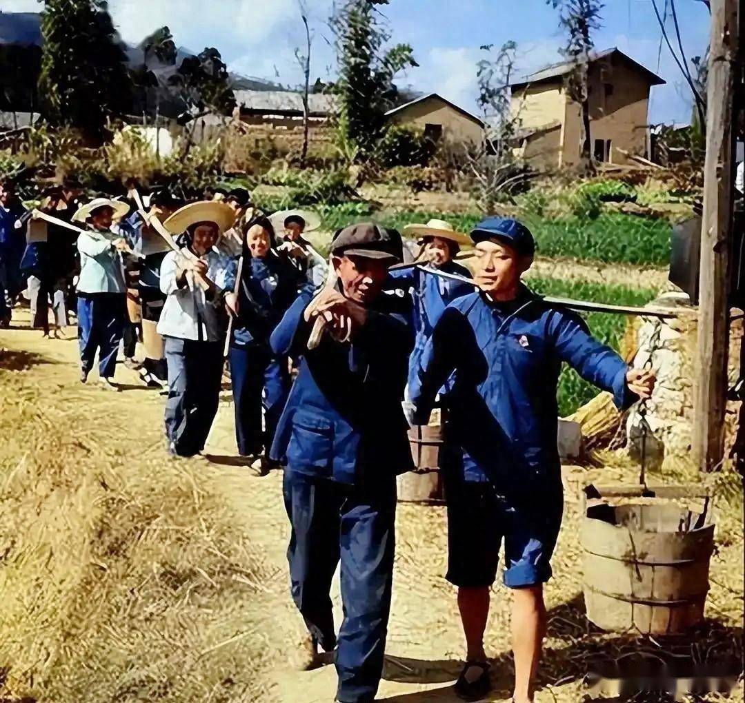 六十年代农村:集体主义温情与生存智慧交织的真实图景