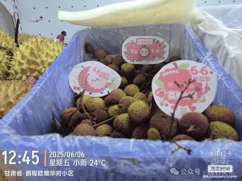 66给荔节火热开展，广东荔枝传递全国祝福