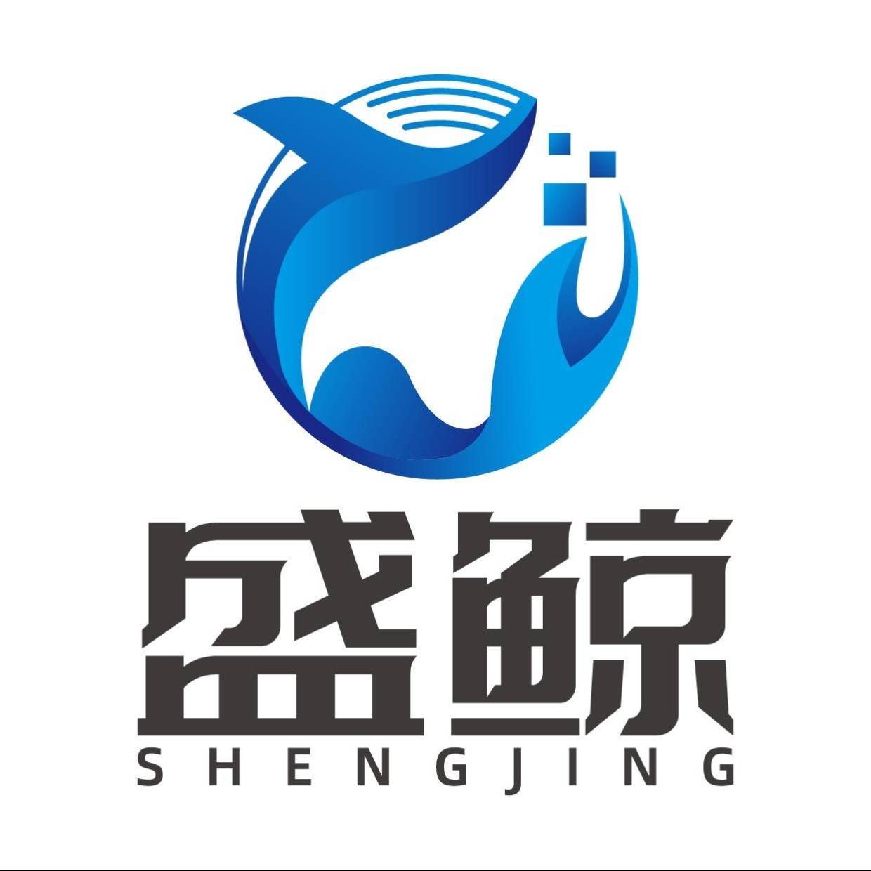 盛鲸科技