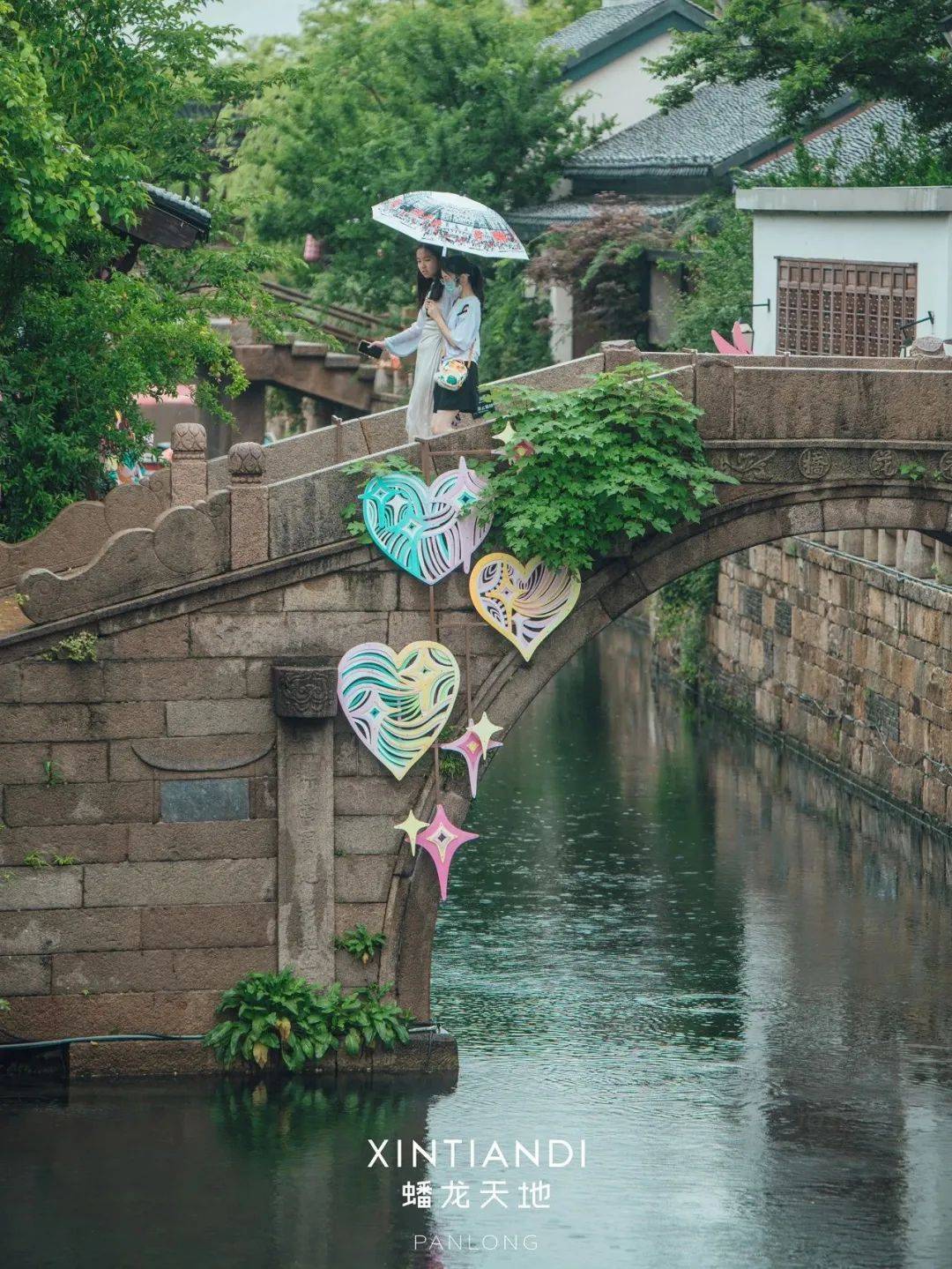 江南烟雨里,等一池荷开