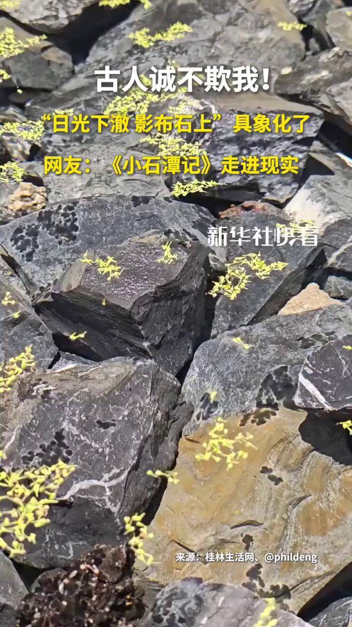 "日光下澈 影布石上"具象化了,网友:《小石潭记》走进现实