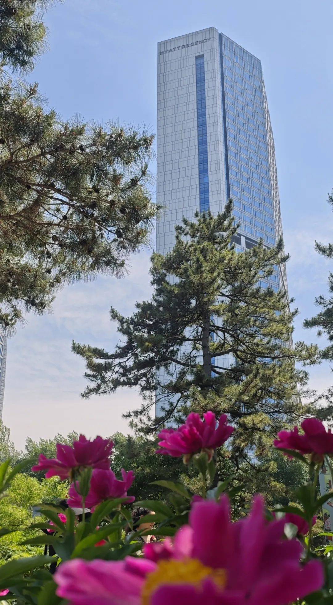 _都市绿洲餐饮集团_都市绿洲开业了吗