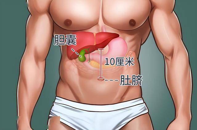 点击图片看原样大小图片