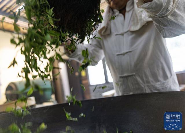 天气在线湖南桂东__湖南桂东天气