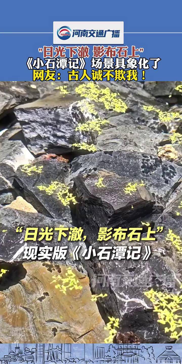 "日光下澈 影布石上" 《小石潭记》场景具象化了