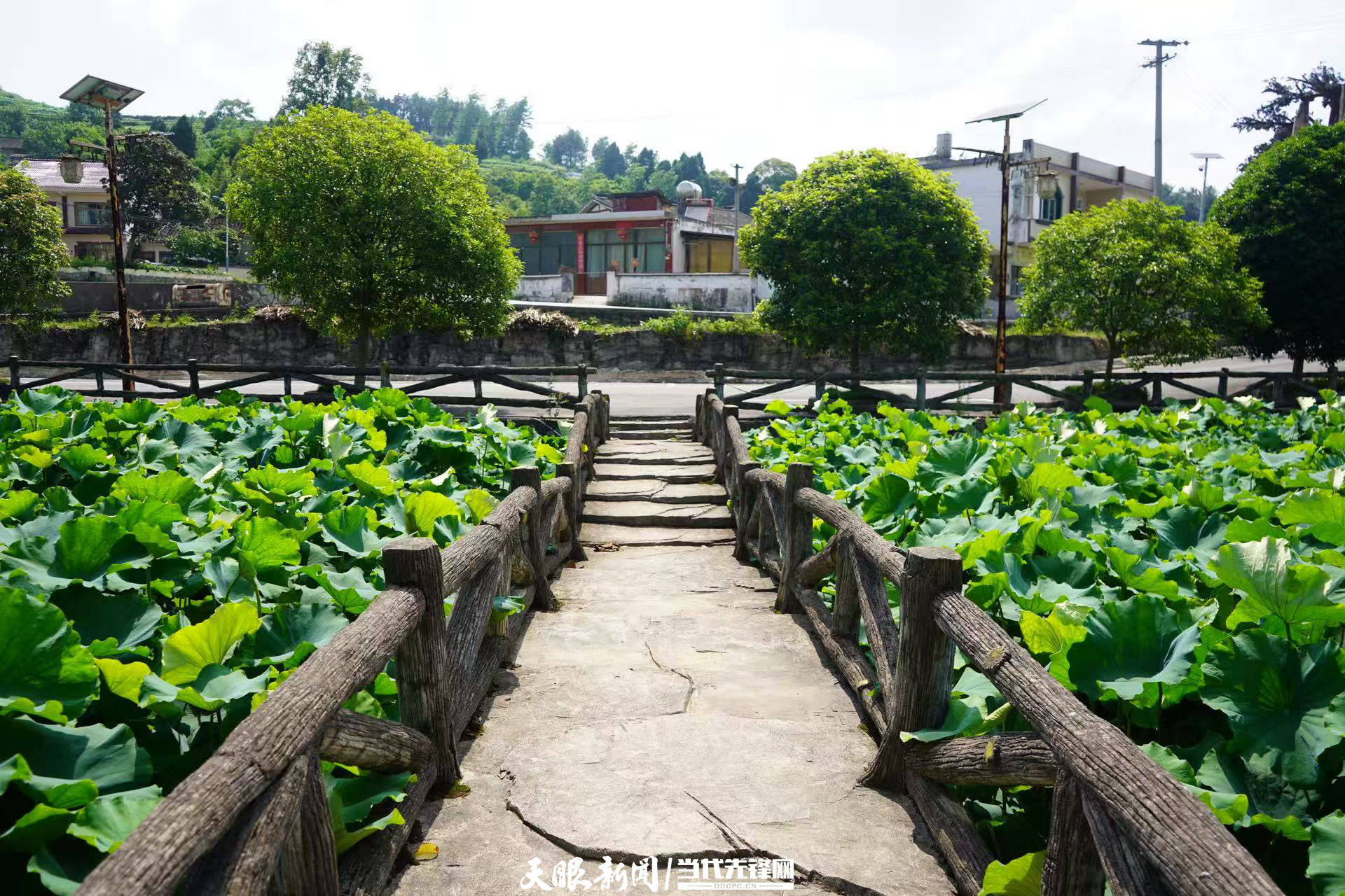 乡愁印迹 村史村事