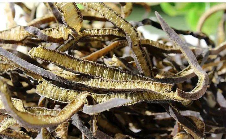 南极海茸的营养价值__南极海茸多少钱一斤