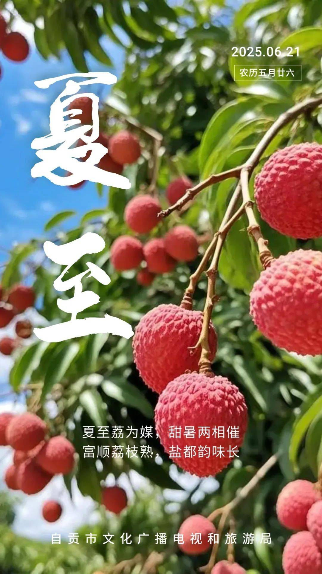 今日夏至！在自贡越溪半岛，邂逅极致夏日别