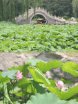 北京室内漂流__夜间漂流北京项目有哪些