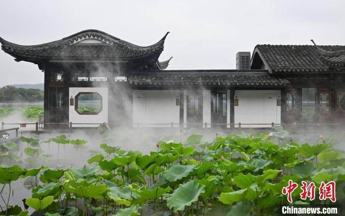 沛县新正路两侧范围__7下几何题