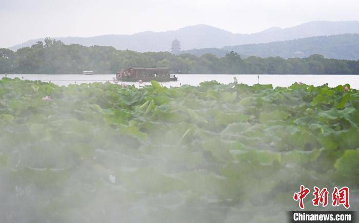 _沛县新正路两侧范围_7下几何题
