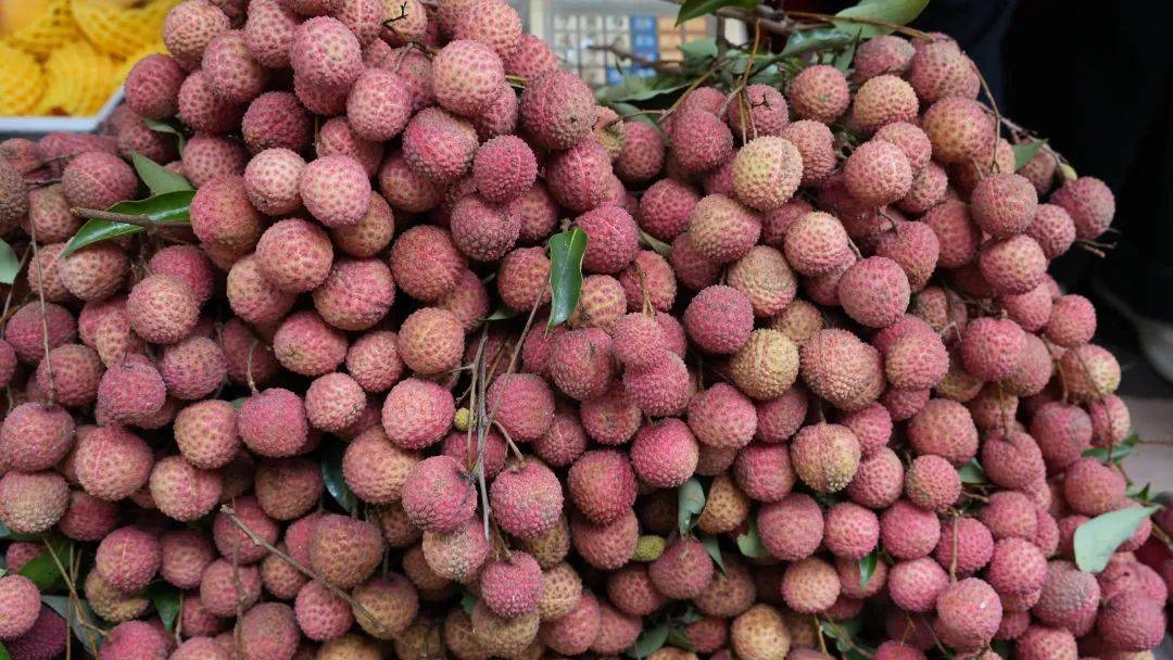 荔枝煲鸡火爆全网！亲测这碗“养生网红汤”→