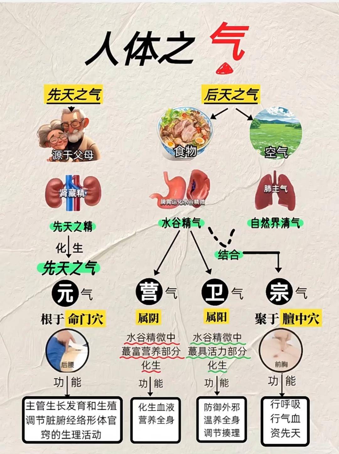 中医讲基础理论“气”,深度好文,请收藏_物质_生命_运动