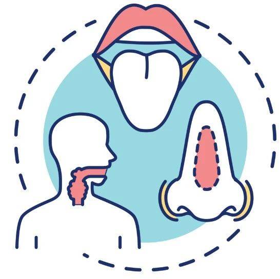 日常生活中容易被忽视的耳鼻喉三大急症!_会厌_血管_人体