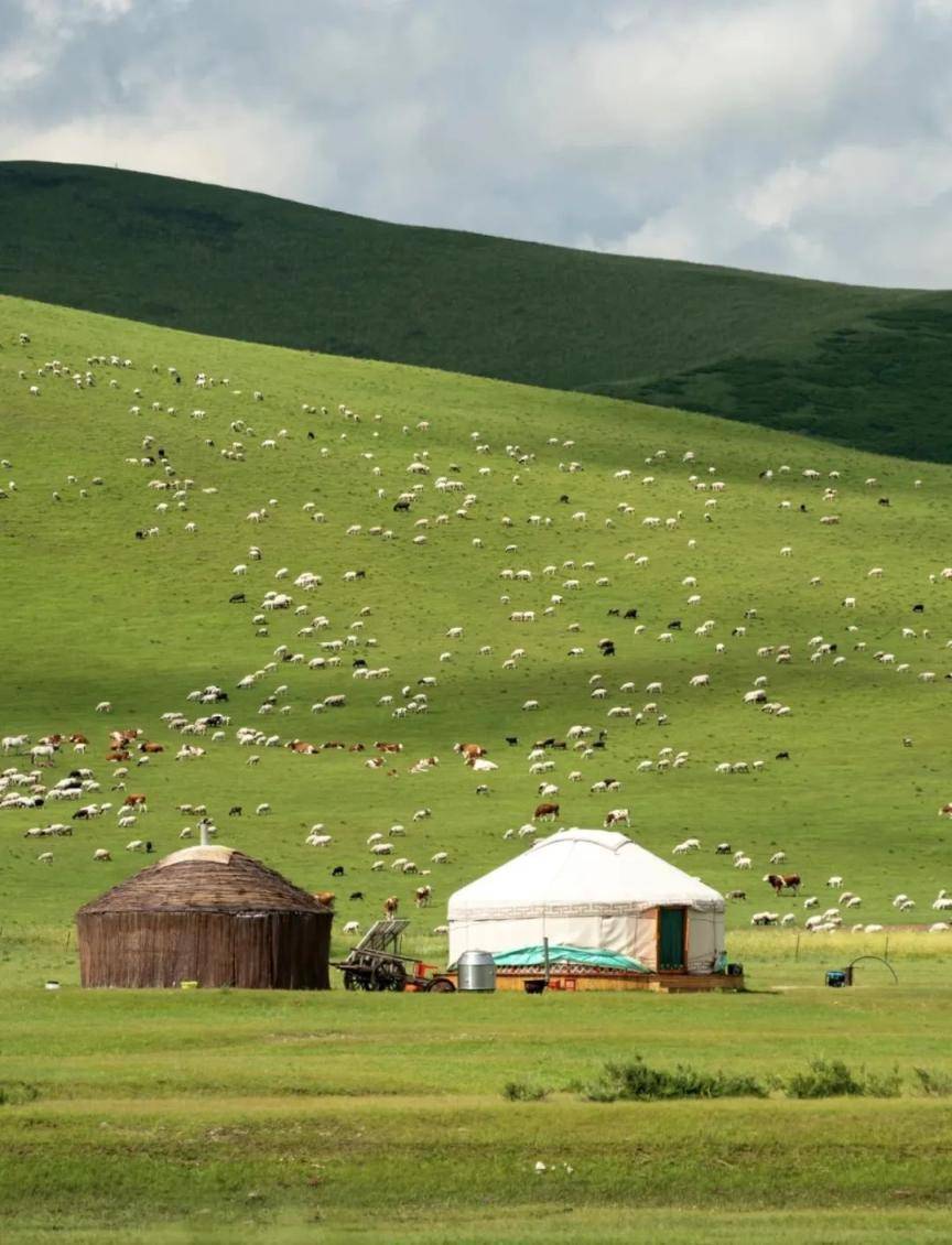 草原"躺平"的打开方式