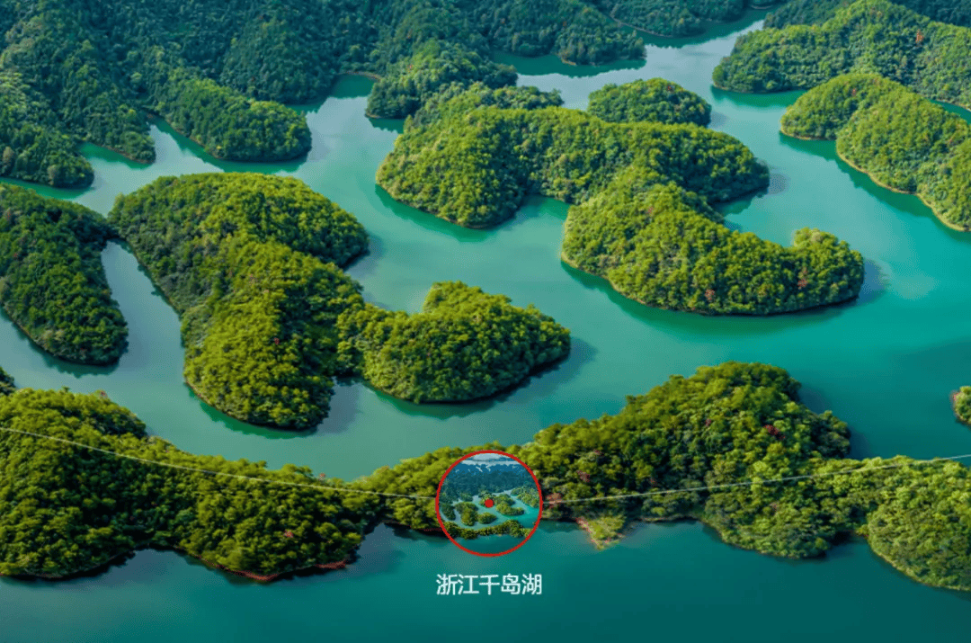 钟睒睒投资椰子水上市大赚，首富又回来了？