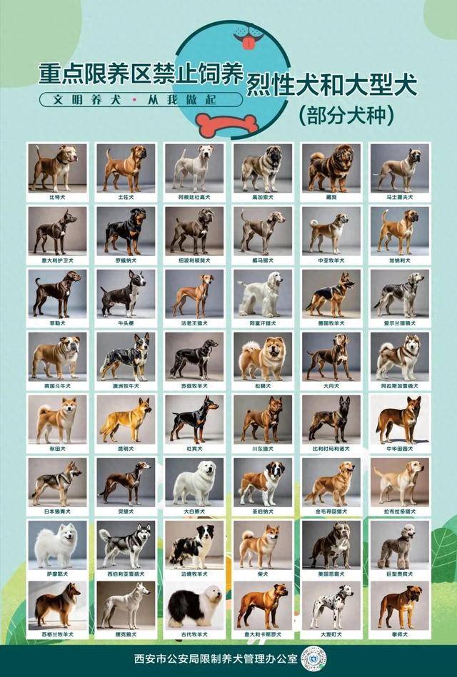 女配修仙血泪史:“中华田园犬禁养”冲上热搜之一，西安警方：并非所有中华田园犬都禁养