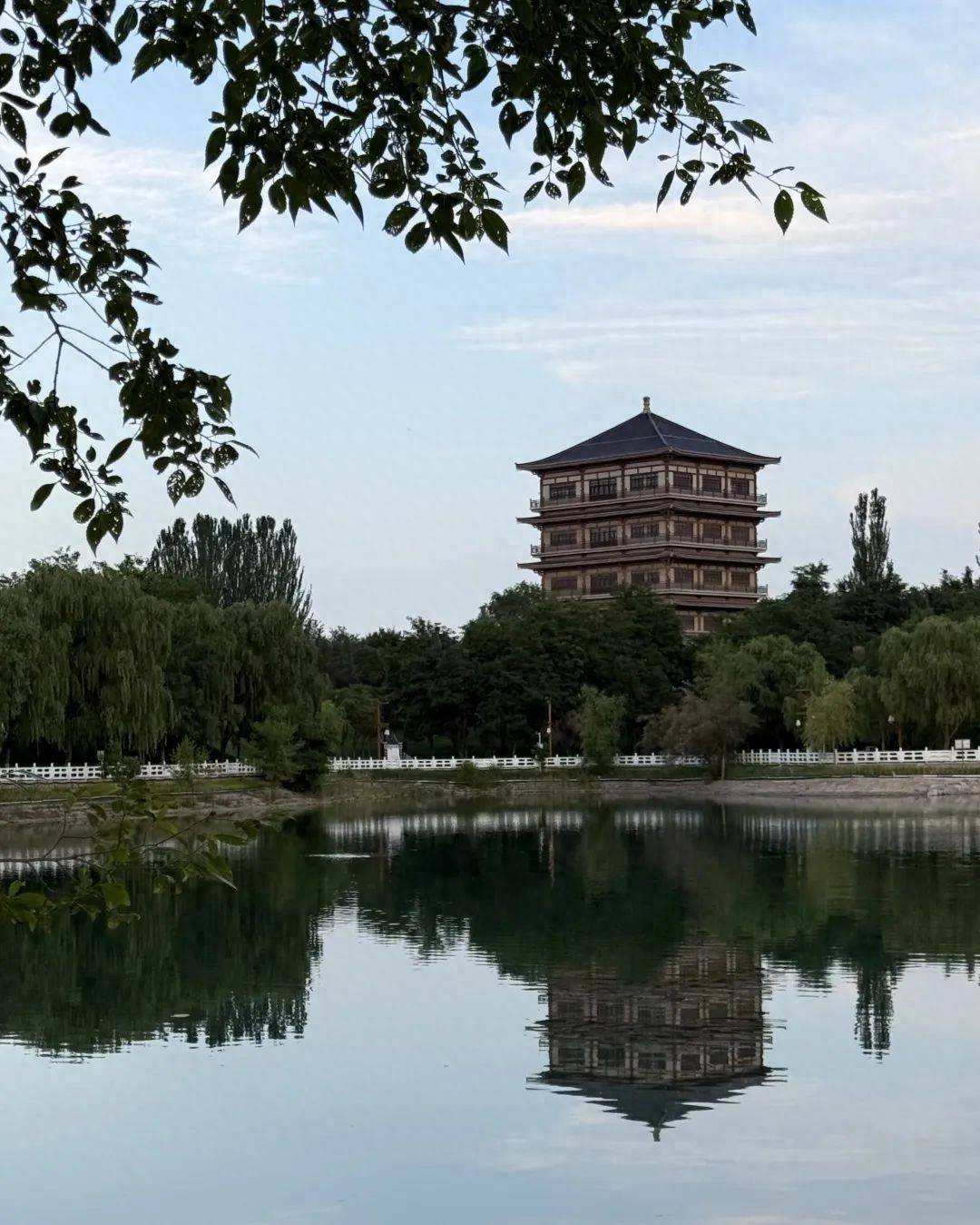 雨后的金岭公园,别样风情惹人醉