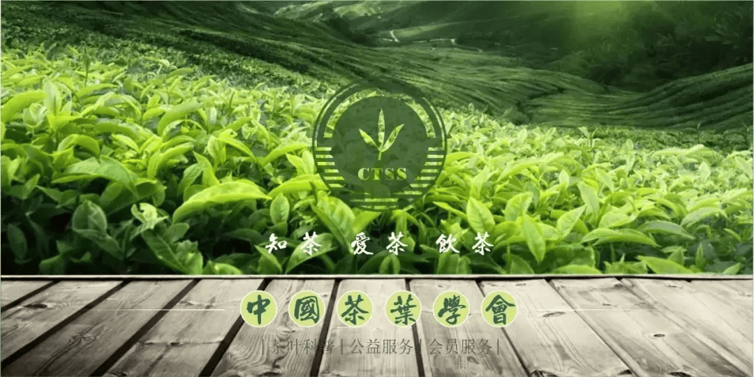 科学科学